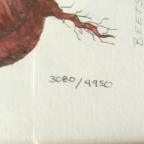 Martha Hinson Framed BEET Tinted Etching Artist Signed Numbered 3080/4950 LMT ED - Picture 6 of 10